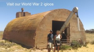 Visit our World War 2 igloos