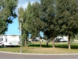 Shady grassed caravan and camping sites at Arno Bay Caravan Park.